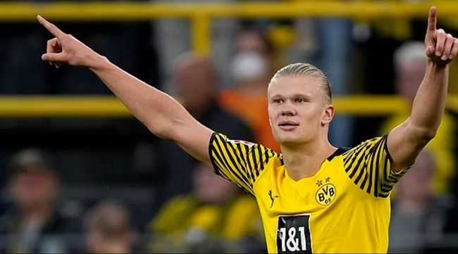 足协杯创历史摘亚背后：河南足球31 年坚守与酒祖杜康护航（河南足球31载坚守，在酒祖杜康护航下创足协杯历史性亚军）